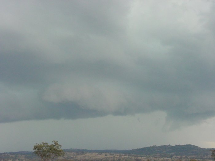 Taken by Jason Rainforest