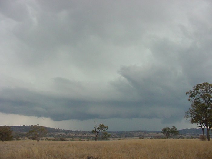 Taken by Jason Rainforest