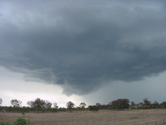 Taken by Jason Rainforest