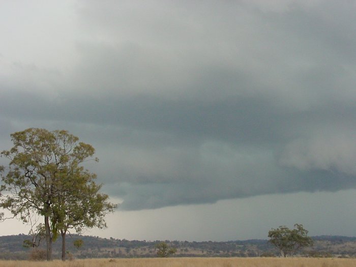 Taken by Jason Rainforest