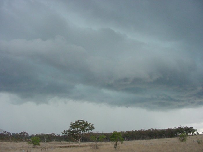 Taken by Jason Rainforest