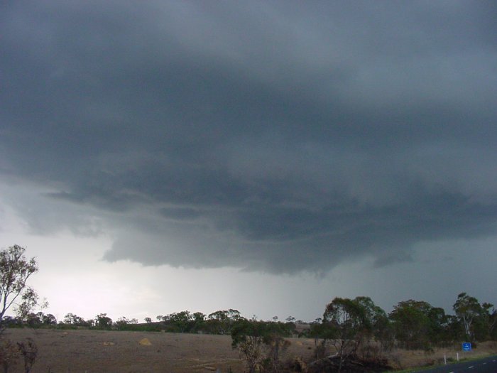 Taken by Jason Rainforest