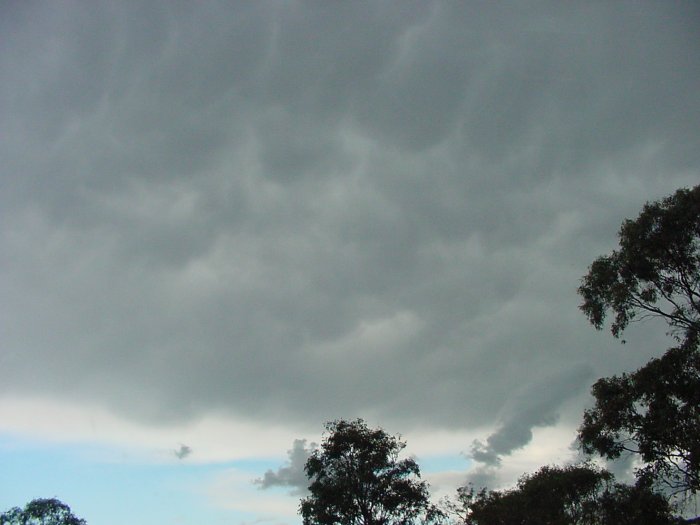 Photo  Jason Rainforest