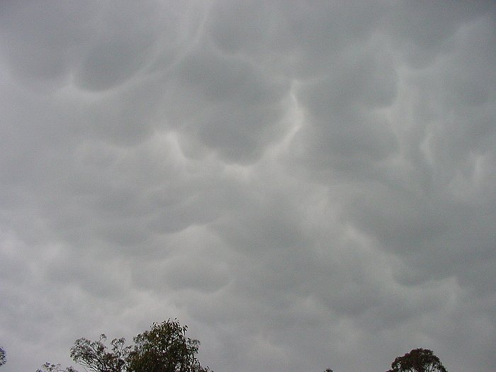 Taken by Jason Rainforest