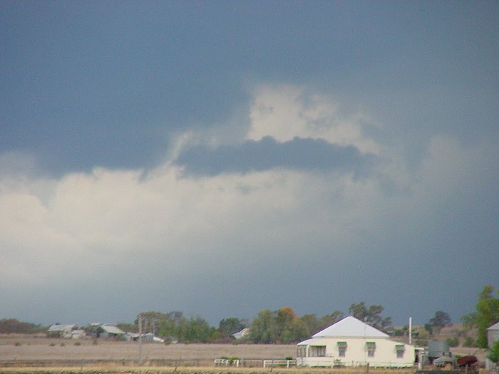 Photo  Jason Rainforest