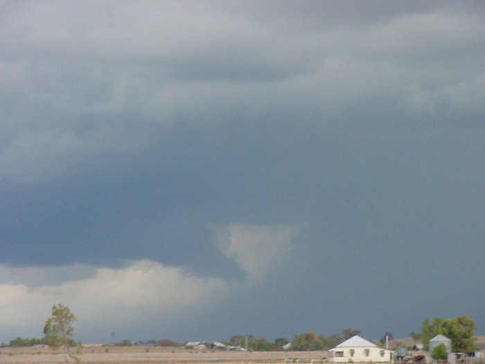 Photo  Jason Rainforest