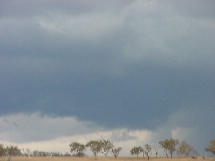 Photo  Jason Rainforest