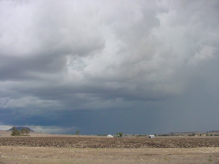 Photo  Jason Rainforest