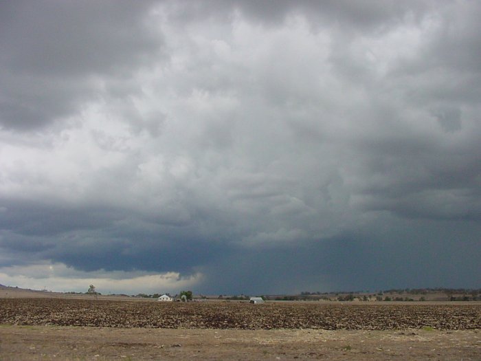 Photo  Jason Rainforest