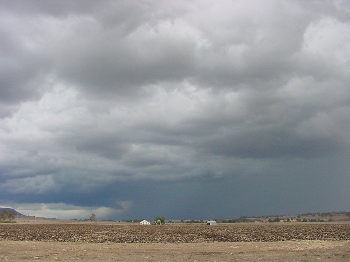 Taken by Jason Rainforest