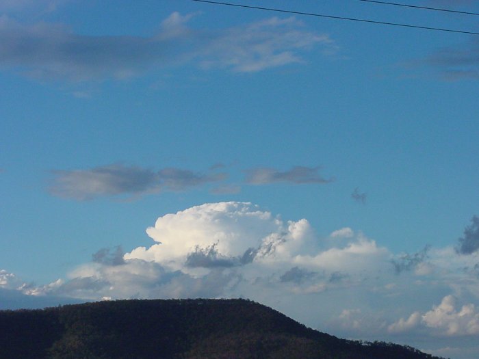 Photo  Jason Rainforest