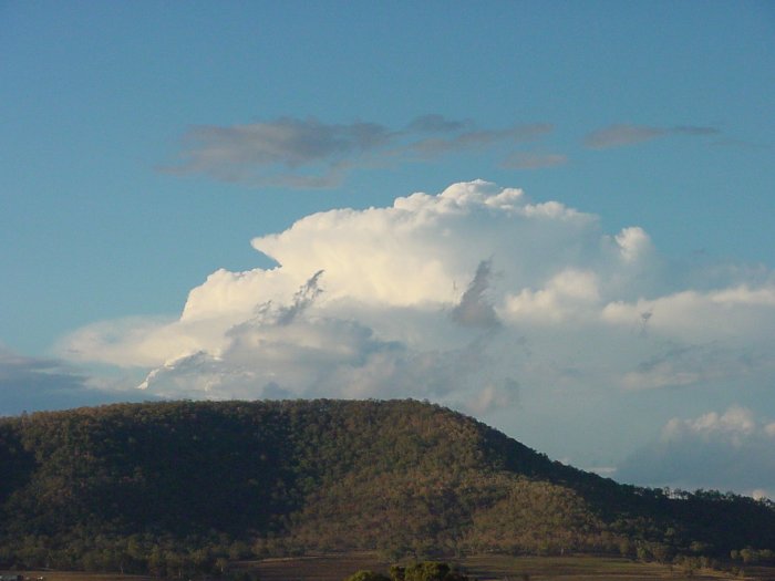 Taken by Jason Rainforest