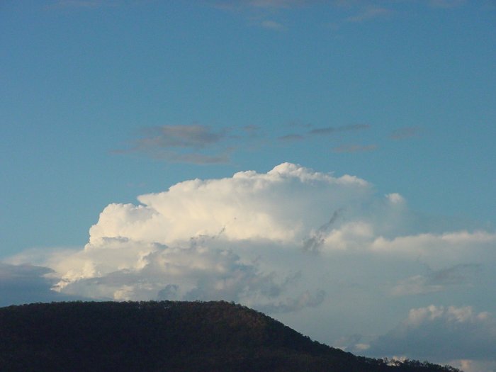 Photo  Jason Rainforest