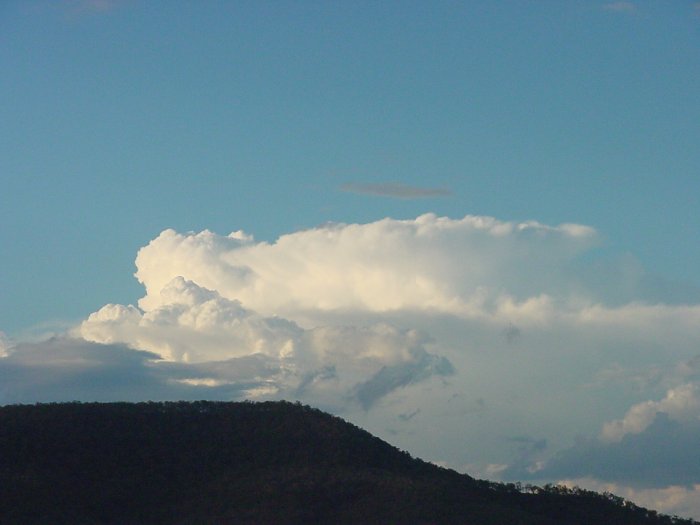 Taken by Jason Rainforest