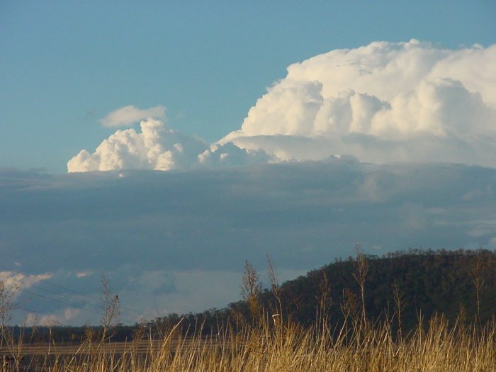 Photo  Jason Rainforest