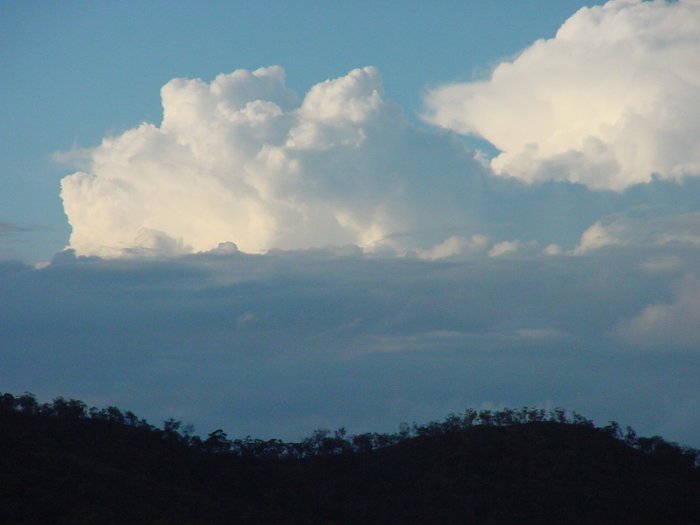 Taken by Jason Rainforest