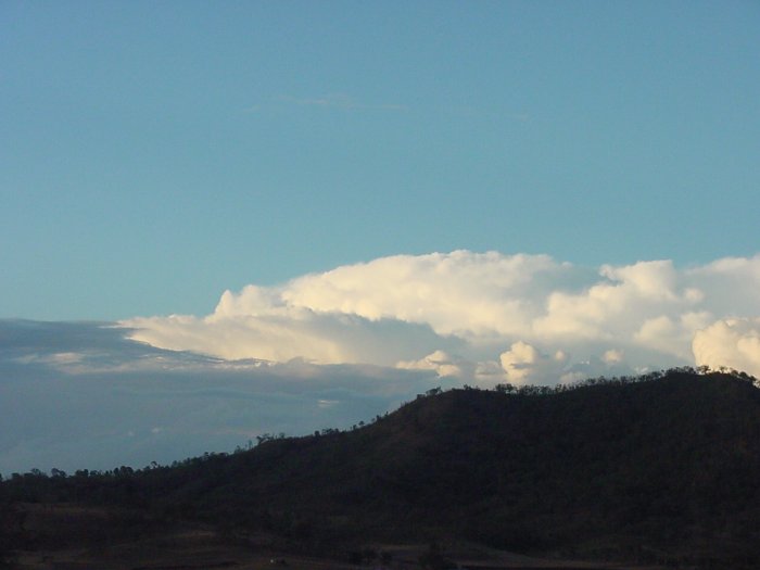 Photo  Jason Rainforest