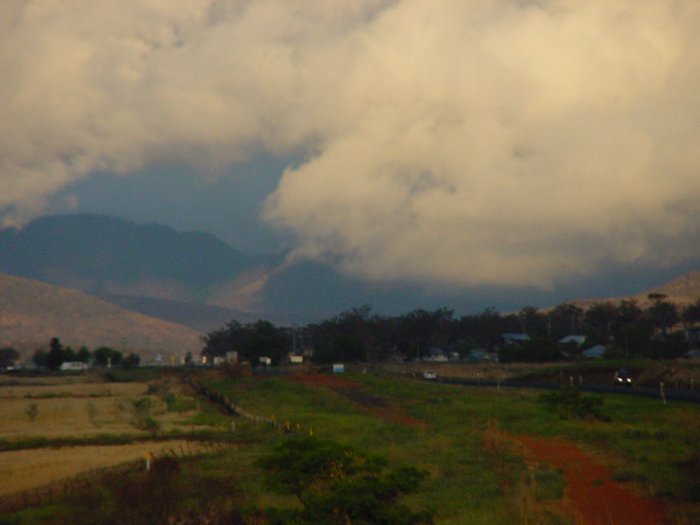 Taken by Jason Rainforest