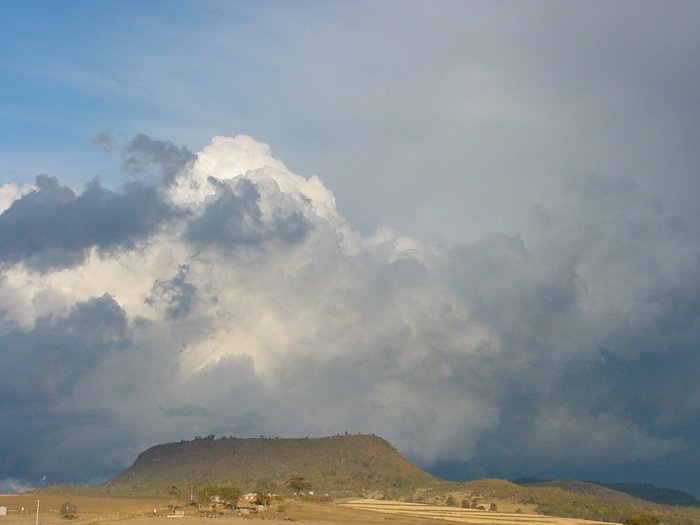 Photo  Jason Rainforest