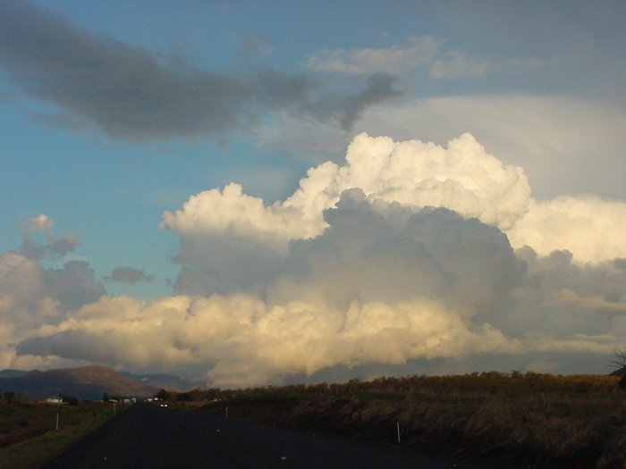 Taken by Jason Rainforest