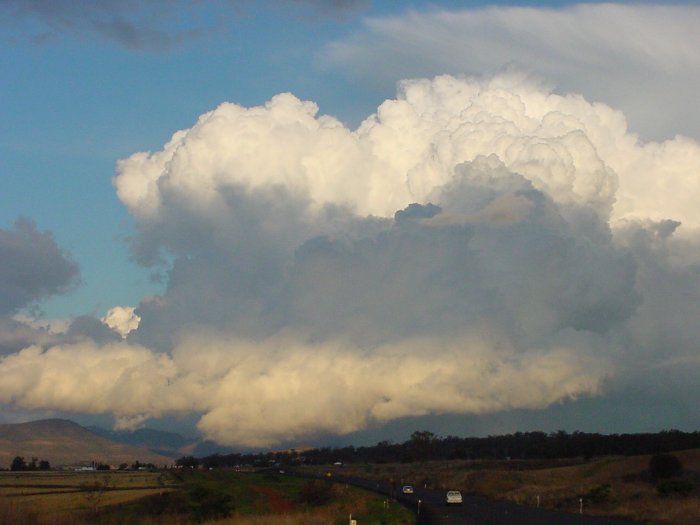 Photo  Jason Rainforest