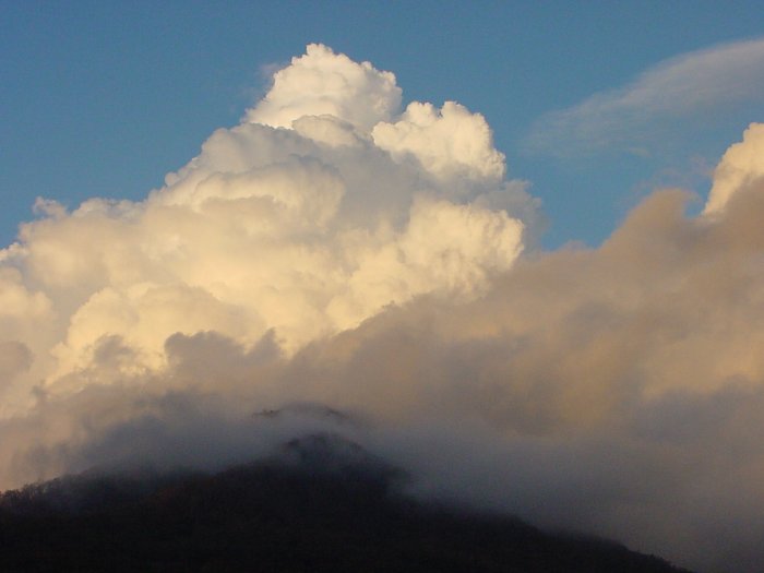 Photo  Jason Rainforest