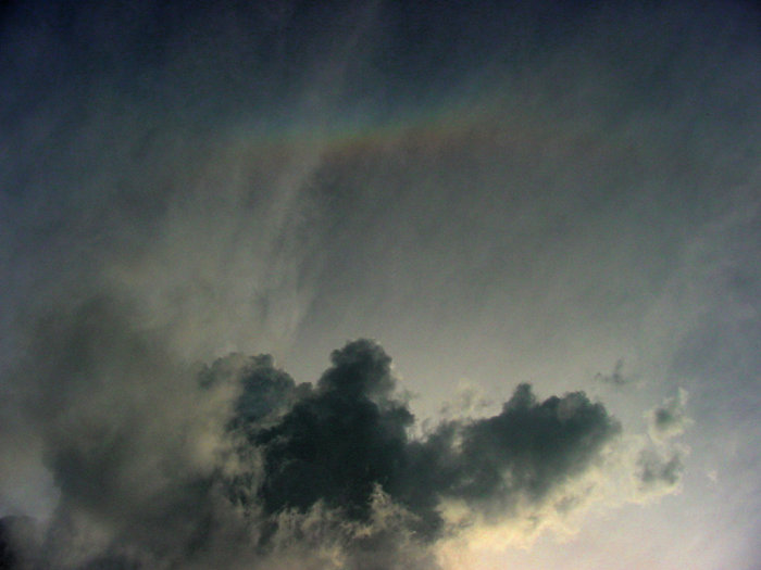 Taken by Jason Rainforest