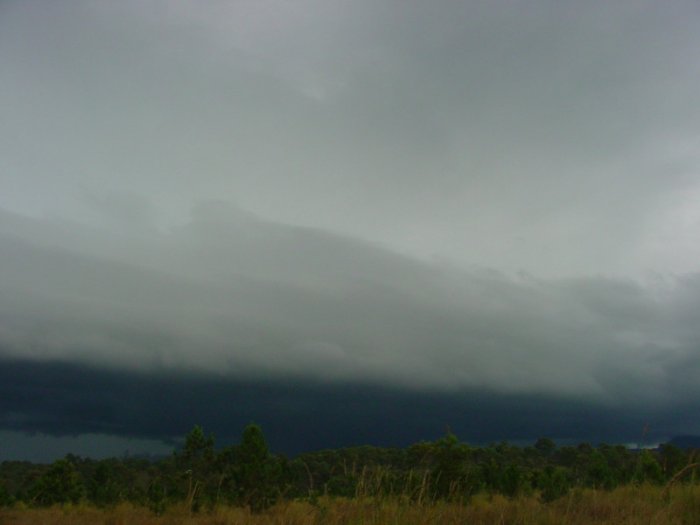 Taken by Jason Rainforest