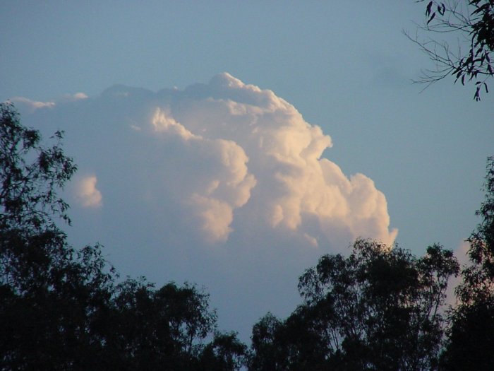 Photo  Jason Rainforest