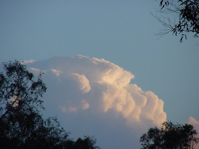 Photo  Jason Rainforest