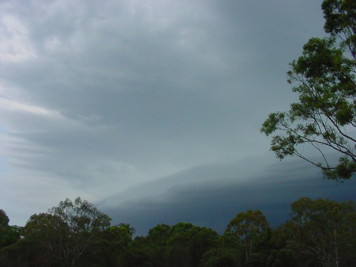 Taken by Jason Rainforest