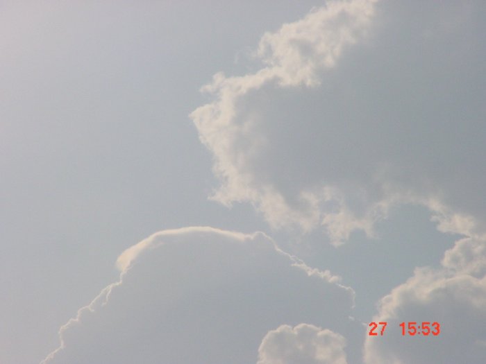 Taken by Jason Rainforest