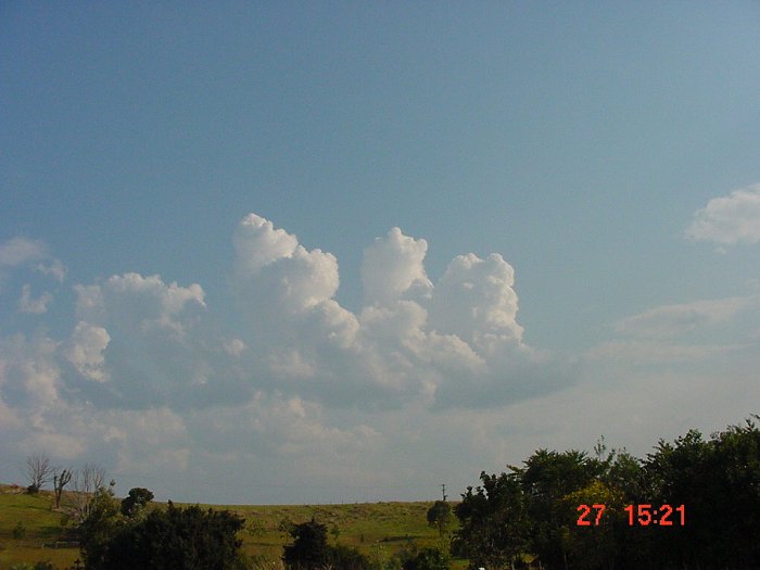 Taken by Jason Rainforest