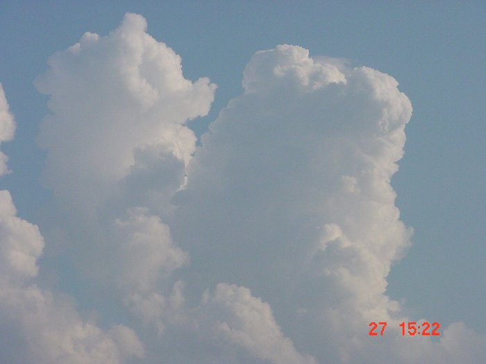 Taken by Jason Rainforest