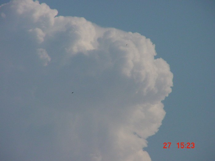 Taken by Jason Rainforest