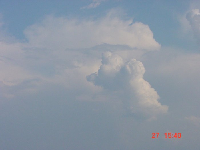 Taken by Jason Rainforest