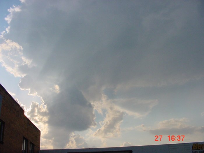 Taken by Jason Rainforest