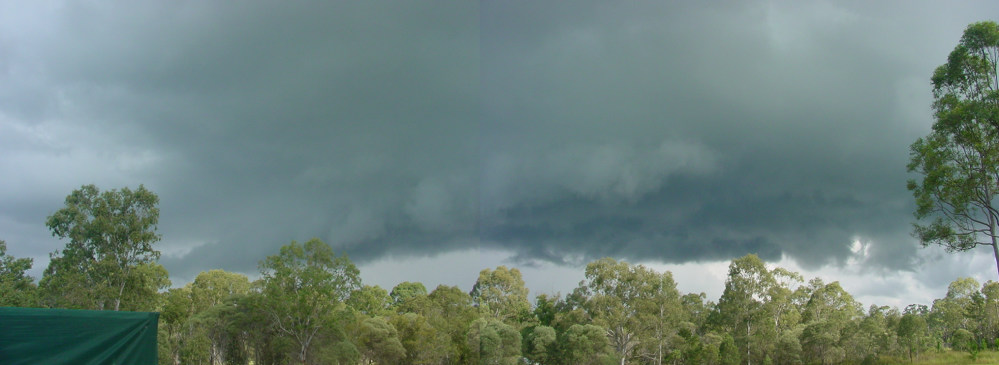 Photo  Jason Rainforest