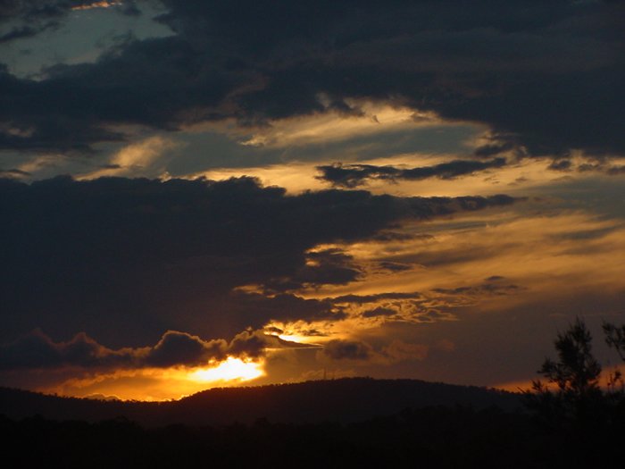 Photo  Jason Rainforest