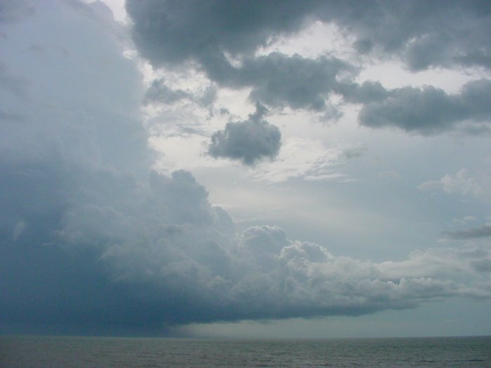 Taken by Jason Rainforest