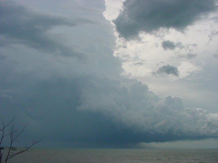 Taken by Jason Rainforest