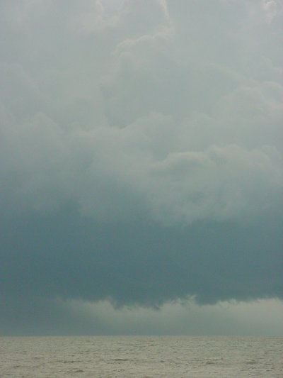 Taken by Jason Rainforest