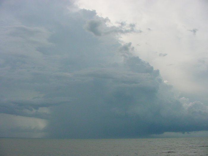 Taken by Jason Rainforest