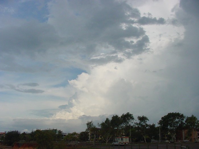 Taken by Jason Rainforest