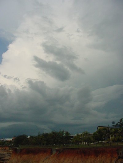 Taken by Jason Rainforest