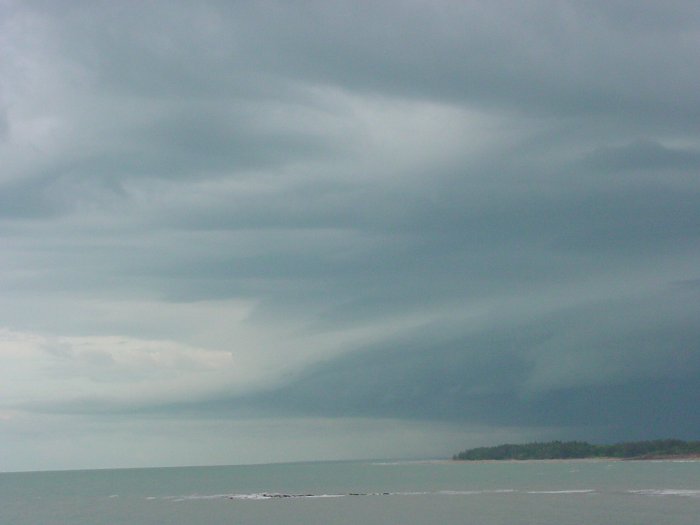 Taken by Jason Rainforest