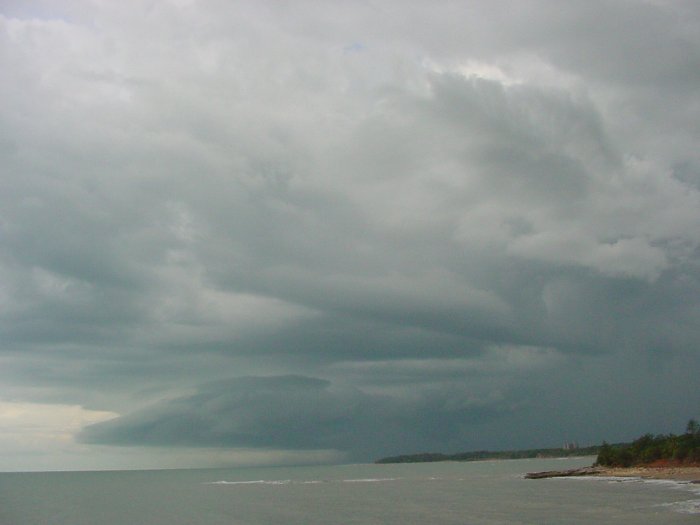 Taken by Jason Rainforest