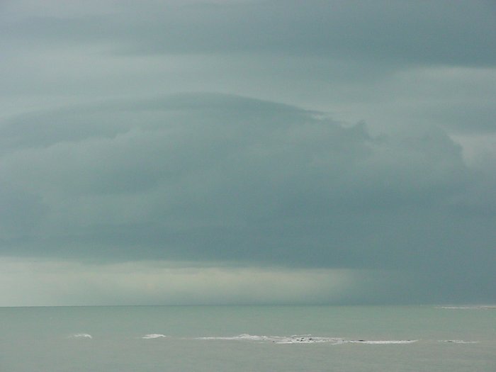 Taken by Jason Rainforest