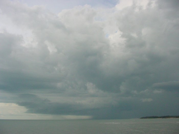 Taken by Jason Rainforest