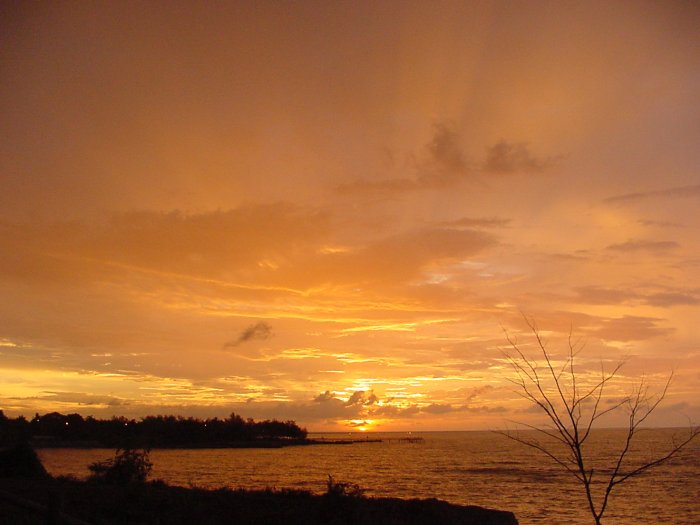 Taken by Jason Rainforest